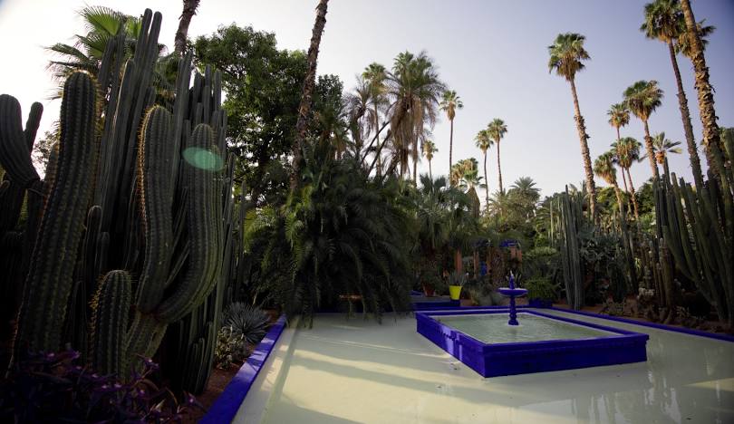 The Tranquil Majorelle Garden in Marrakech