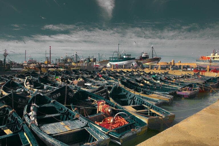 Things to Do in Essaouira Morocco: A Complete Travel Guide