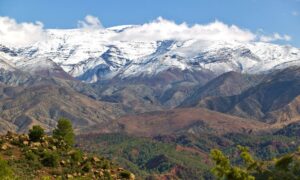 morocco weather in January