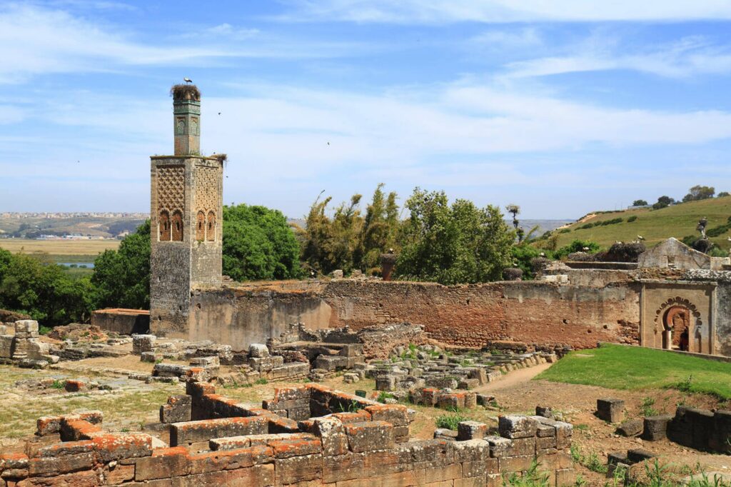 Stork nests sitting atop ancient Roman and Islamic ruins at the Chellah Necropolis in Rabat